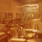 Plants: image 2 0f 4 thumb