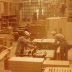 Plants: image 3 0f 4 thumb