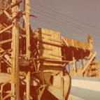 Plants: image 2 0f 4 thumb