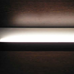 Plants: image 2 0f 4 thumb