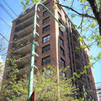 Plants: image 1 0f 4 thumb