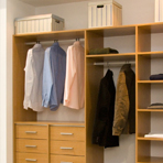 Plants: image 3 0f 4 thumb